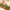 Valery Madelyn 6ft Artificial Norfolk Pine Christmas Garland for Mantle 2PC Real Tough Pre-Lit Xmas Garland with Lights,Lighted Winter Pine Branches for Home Stairs Fireplace Table Indoor Holiday Decor