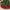 Valery Madelyn 60" Red Green Gold Christmas Tree Skirt for Tree Decorations Large Xmas Velvet Tree Skirt with Holly Leaves Pattern & Tartan Trim for 6.5-8ft Tree Merry Christmas Party Decor