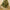 Valery Madelyn 48" White Gold Christmas Tree Skirt for Tree Decorations Medium Xmas Velvet Tree Skirt with Embroidery & Geometric Sequin Pattern for 6-7.5ft Tree Merry Christmas Party Decor