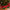 Valery Madelyn 48" Red Green Elf Christmas Tree Skirt for Tree Decorations Medium Xmas Velvet Tree Skirt with 3D Elf Legs and Ripple Trim for 6-7.5ft Tree Merry Christmas Party Decor