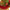 Valery Madelyn 48 Inch Red Christmas Tree Skirt for Tree Decorations Medium Xmas Velvet Tree Skirt with Embroidery Woven Patchwork & Tie Straps for 6-7.5ft Tree Merry Christmas Party Decor