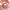 Valery Madelyn 30Pcs Valentines Highland Cow Ornaments Gift Pack, Craft Painted Heart Shaped Christmas Tree Decorations, Pink Red Gold Christmas Baubles Hanging Party Wedding Anniversary Decor